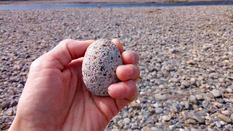 河原で綺麗な石を見つけるのは楽しいね！